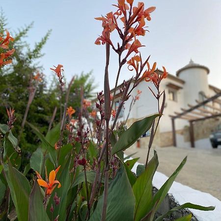 פריחיליאנה Villa Sunshine Countryside Resort מראה חיצוני תמונה