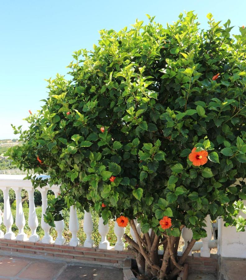 פריחיליאנה Villa Sunshine Countryside Resort מראה חיצוני תמונה